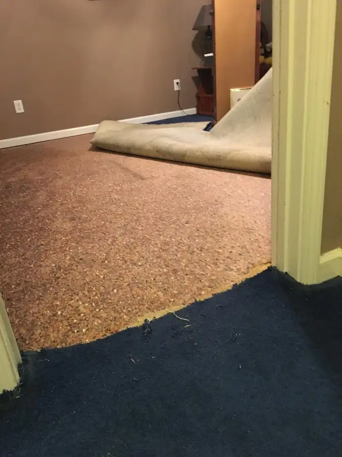 Carpet pad removal revealing water damage during Water Mitigation Services in Vero Beach South