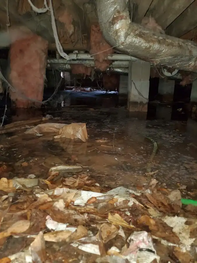 Crawl space flood assessment for Commercial Water Damage Restoration in Vero Beach South
